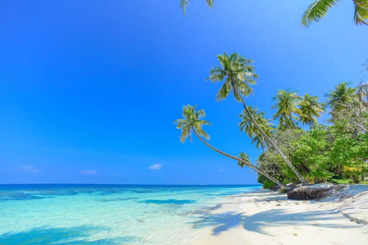 plage paradisiaque